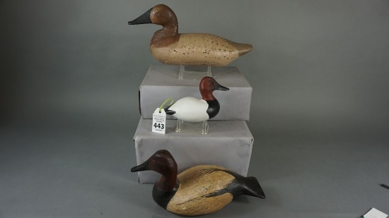 Canvasback Lot of Three