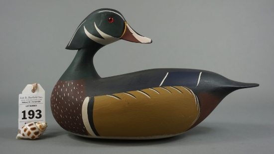 Wood Duck by Cooper Rossner