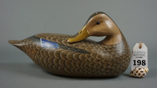 Mallard by H V Shourds II