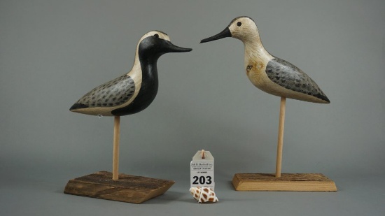 Shorebirds by R E Shourds