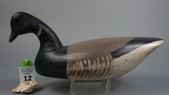 Brant by Harry V Shourds