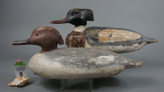 Mergansers by Cigar Daisey