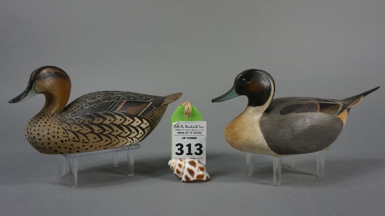 Pintails by L T Ward Bros