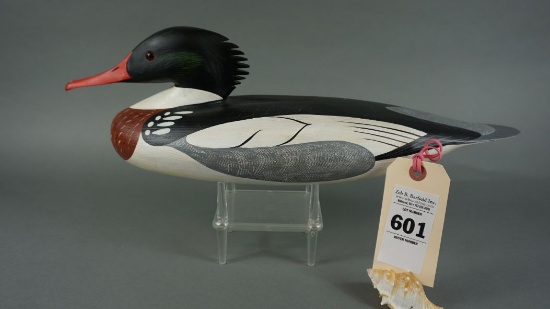 Merganser by Anthony Hillman