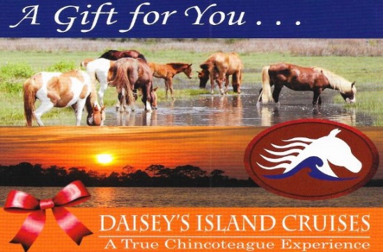 Daisey's Island Cruises Pontoon Trip for Six