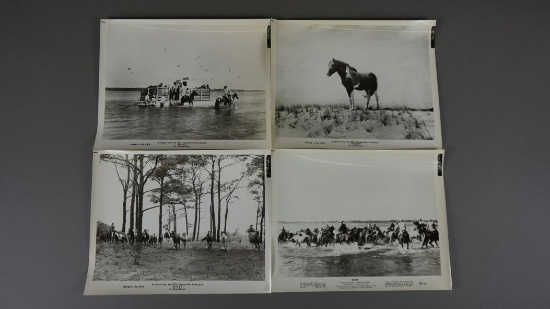 MISTY OF CHINCOTEAGUE FILMING PHOTOGRAPHS