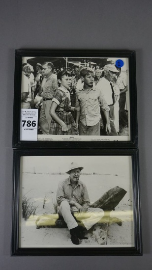 FRAMED PHOTOS FROM MISTY OF CHINCOTEAGUE