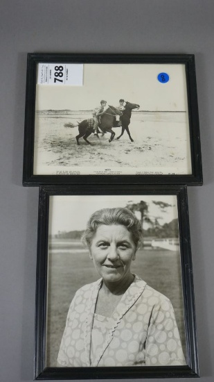 FRAMED PHOTOS FROM MISTY OF CHINCOTEAGUE