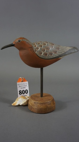 RED KNOT BY RICH SMOKER