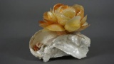 FLOWER SHELL CREATION BY CHERYL TAYLOR
