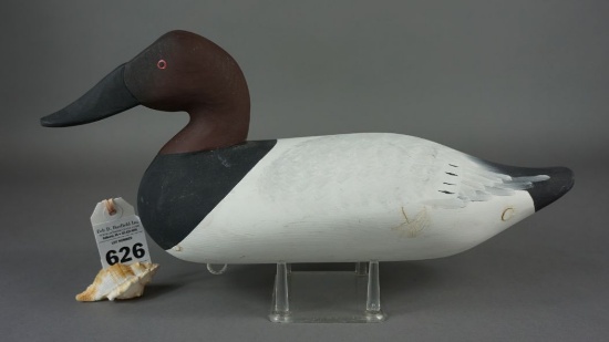 Canvasback from the Upper Ches Bay