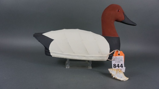Canvasback by Nick Sapone