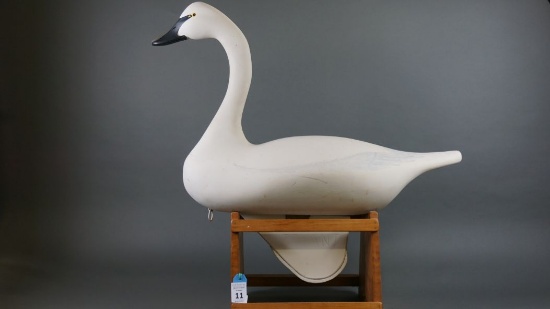Swan by Vernon Bryant