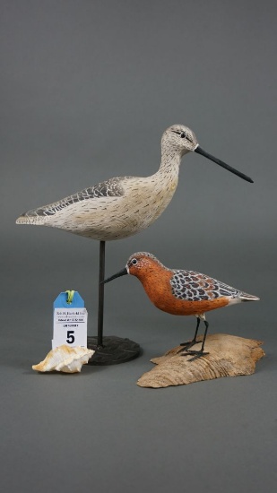 Shorebirds by Cork McGee