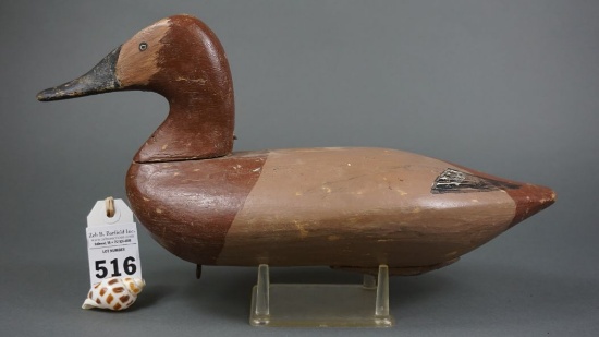 Canvasback by Lum Fletcher