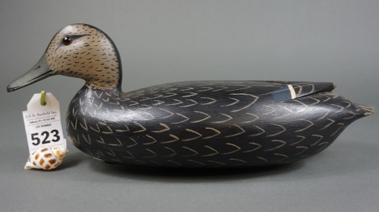 Blackduck by John Baker