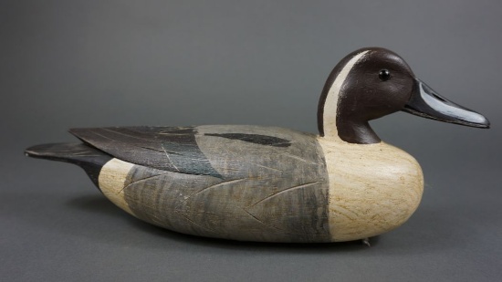 Pintail by Herb Miller