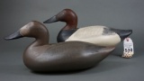Canvasbacks by Paul Gibson