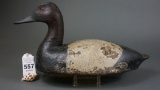 Canvasback by Unknown Maker