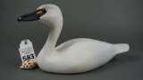 Swan by C W Waterfield