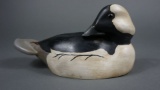 Bufflehead by Larry Jarvis