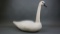 Swan by Robert Lee Sammons