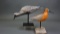 Shorebird Pair