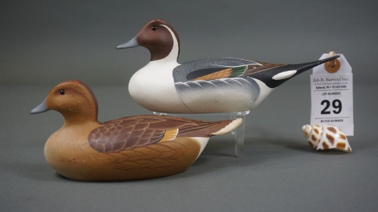 Pintails by Capt Bill Collins