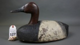 Canvasback from Michigan