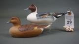 Pintails by Capt Bill Collins