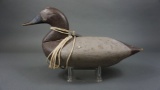 Canvasback by Lum Fletcher