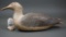 Sea Gull Unknown