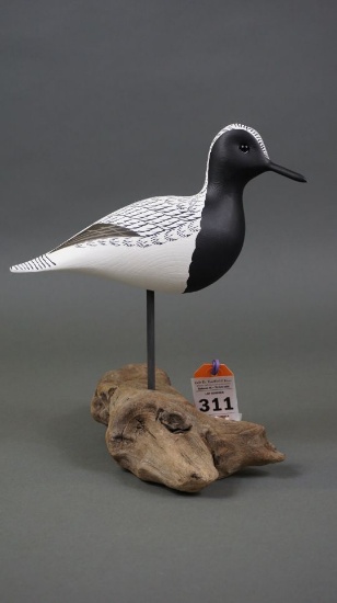 Black Bellied Plover by Roe Terry