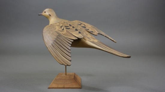 Dove by George Strunk