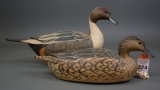Pintails by Grayson Chesser