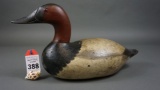 Canvasback from the Mason Decoy Co.