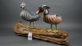 Wood Ducks by Juddy Budd