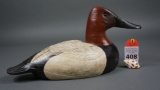 Canvasback by Roe Terry