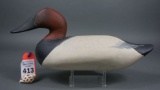 Canvasback by Madison Mitchell