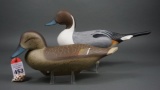 Pintails by Charlie Bryan