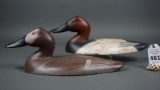 Canvasbacks by Madison Mitchell