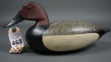 Canvasback by Reg Marter