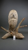 Snowy Owl by Walt Oler