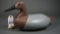 Canvasback by Ralph Pyle