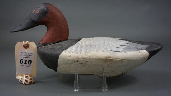Canvasback from Barnes Family
