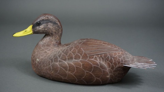 Blackduck by G W Hart