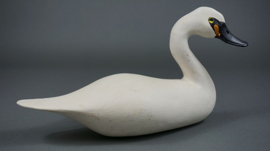 Swan by Gene Reynolds