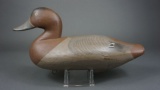 Canvasback by Standley Evans