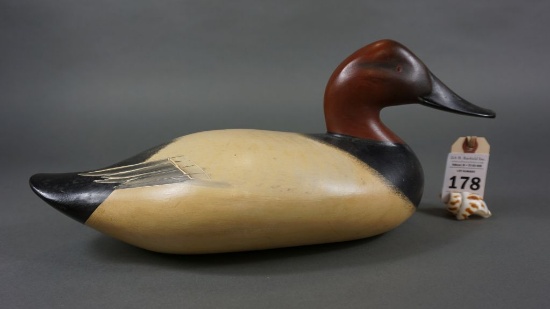 Canvasback by Madison Mitchell