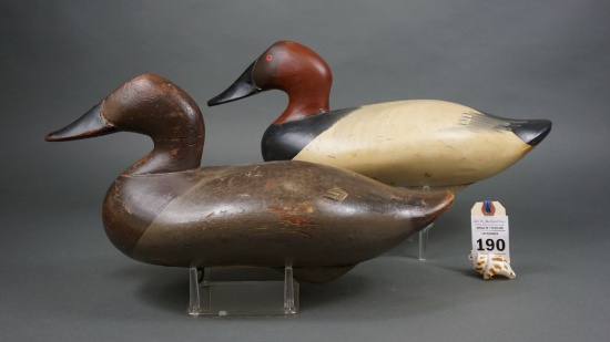 Canvasbacks by Madison Mitchell